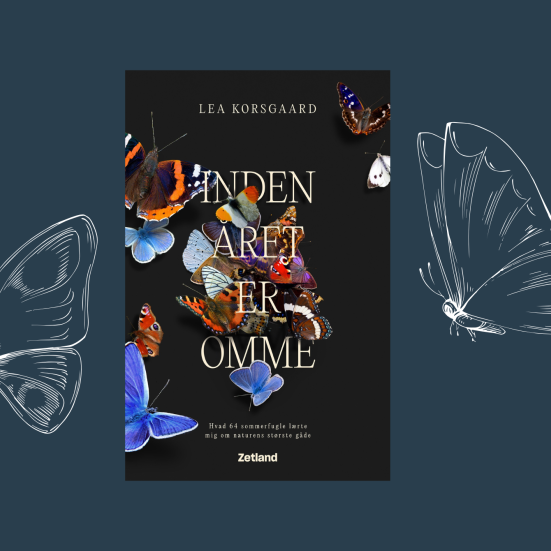 Bogforside sommerfugle