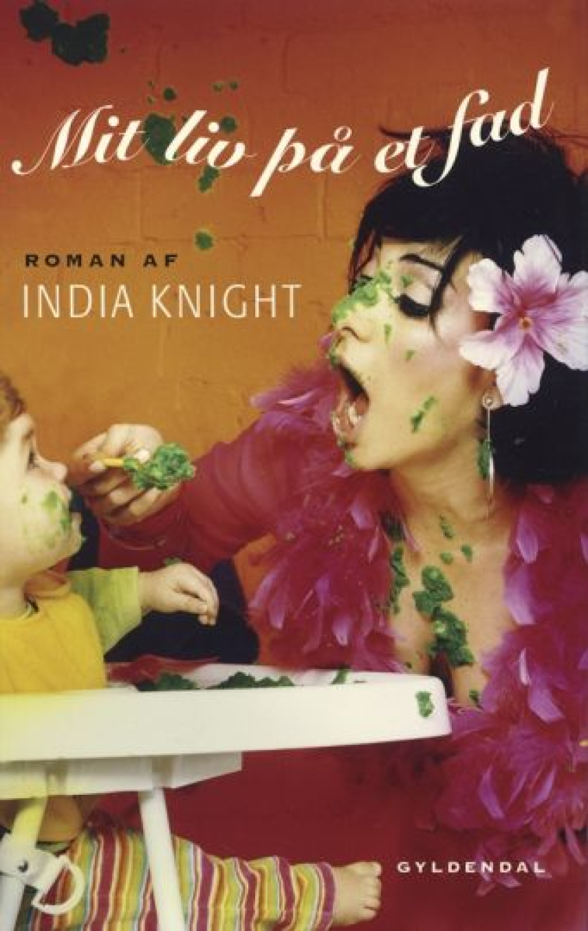 India Knight: Mit liv på et fad : roman